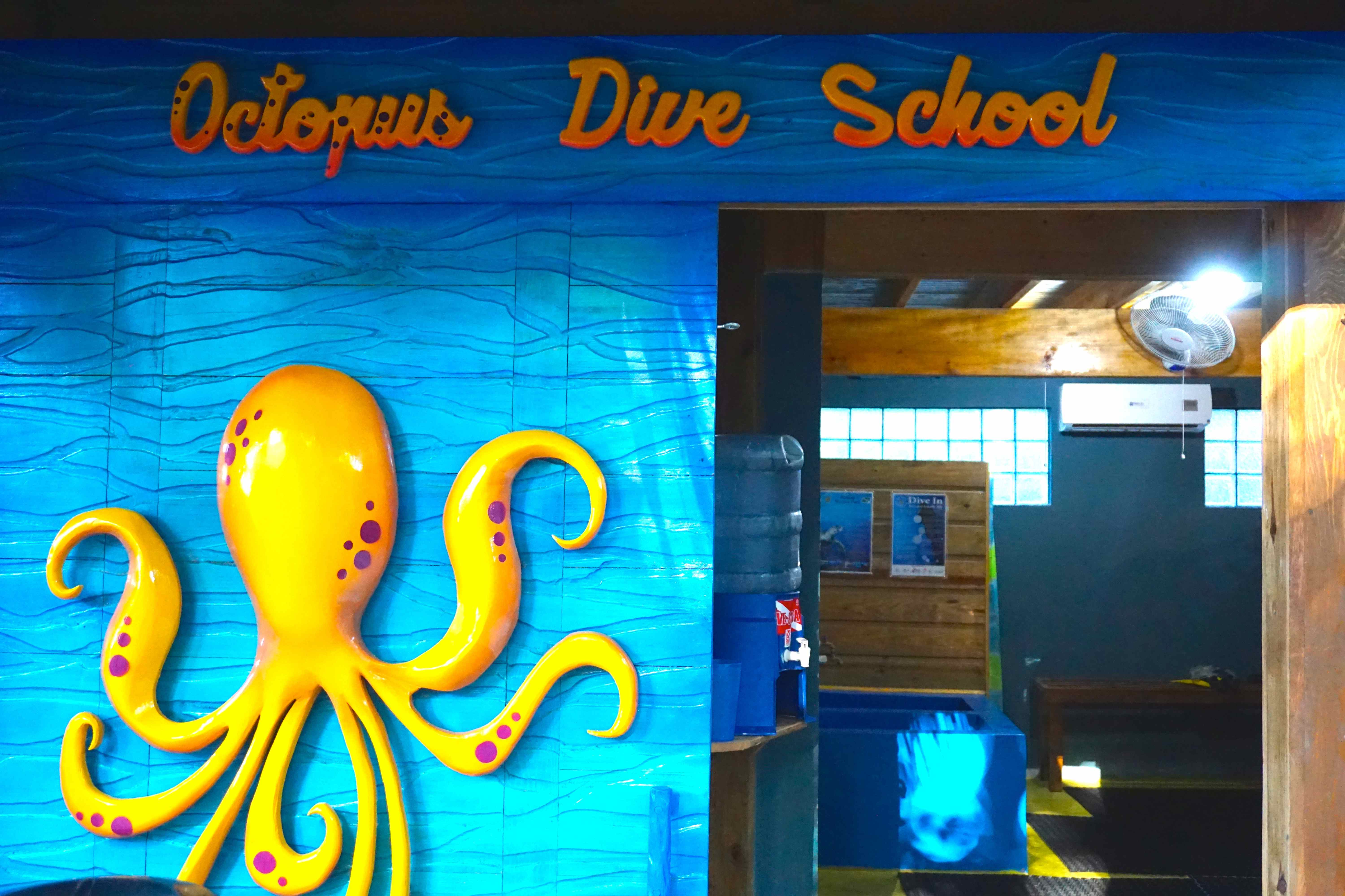 Octopus Dive School